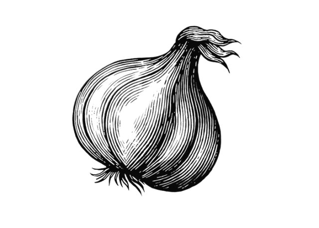 Garlic Bulb